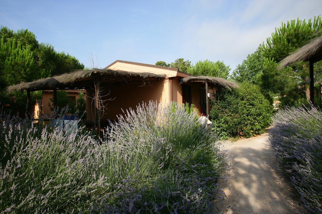 Camping Village Rocchette Castiglione della Pescaia Eksteriør billede